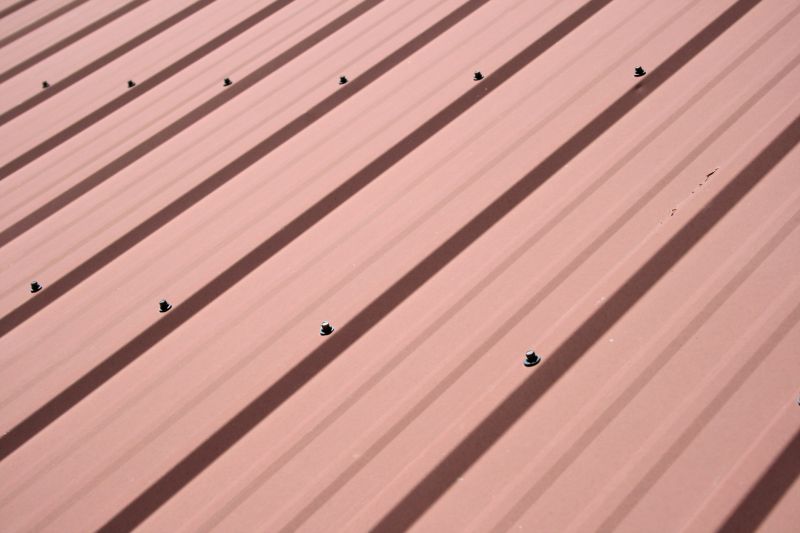 Metal Roof Painting