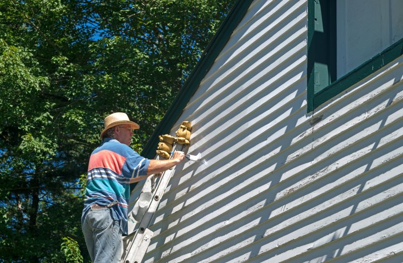 Wood Cladding Painting in Longmont, CO
